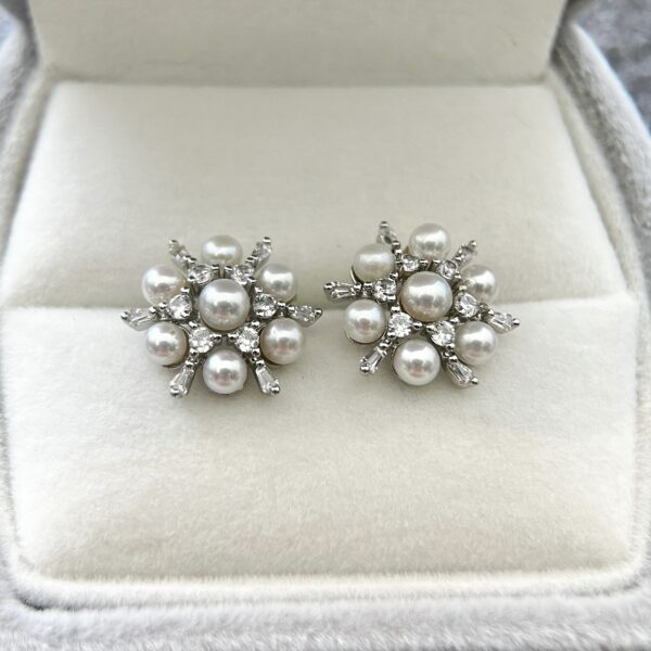 Earrings 22