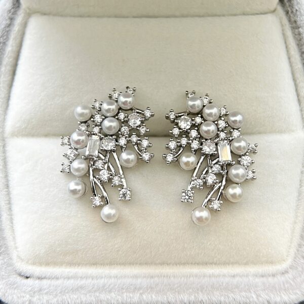 Earrings 23
