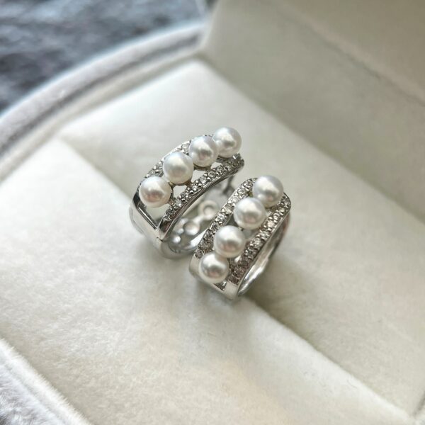 Earrings 24