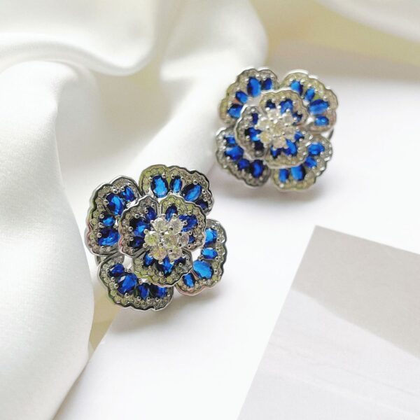 Accessories 31